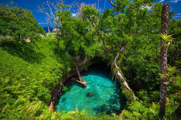 To Sua ocean trench - famous swimming hole, Upolu, Samoa, South Pacific To Sua ocean trench - famous swimming hole, Upolu, Samoa Islands, South Pacific apia samoa stock pictures, royalty-free photos & images
