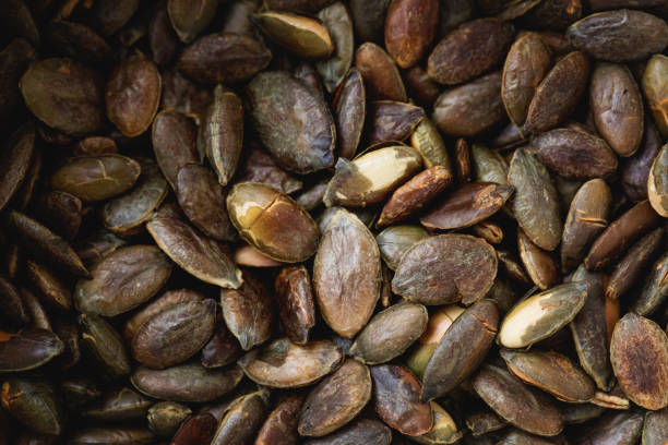 Toasted pumpkin seed  close-up stock photo