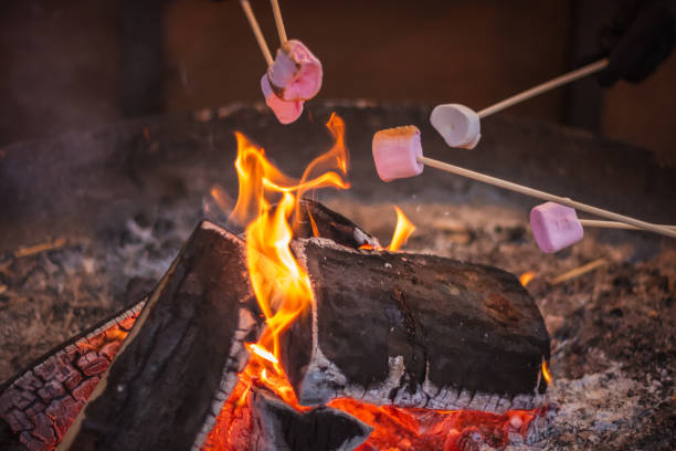 Toasting a marshmallow over an open flame at Christmas market winter wonderland in London Selective focus, toasting a marshmallow over an open flame at Christmas market winter wonderland in London Campfire stock pictures, royalty-free photos & images