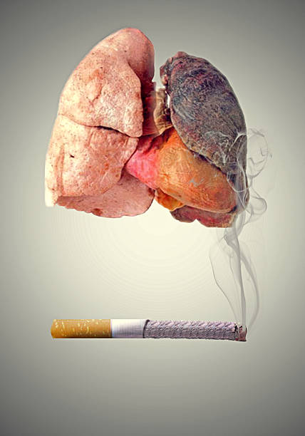토바코 - 니코틴 뉴스 사진 이미지