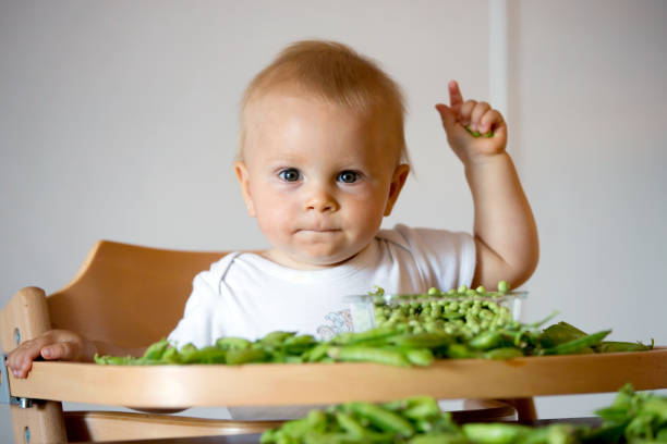 Toddler child, cute boy in white shirt, eating pea at home stock photo