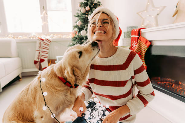 Together for Christmas Photo of young woman and her dog enjoying together at home in a Christmas atmosphere one animal photos stock pictures, royalty-free photos & images