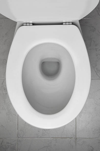Toilet Bowl stock photo
