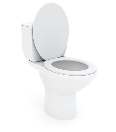 Toilet Bowl Pictures, Images and Stock Photos - iStock