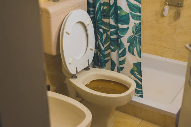 Toilet filled up to the rim with brown water, stuck debris in a home toilet. Help, plumber wanted! Please unclog my toilet bowl! stock photo