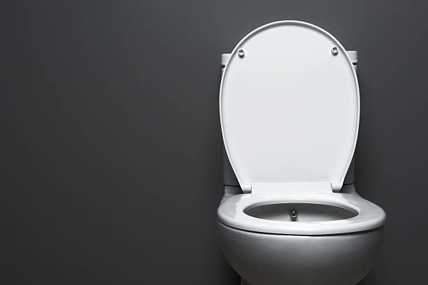 Toilet Plain white toilet on grey background. toilet stock pictures, royalty-free photos & images