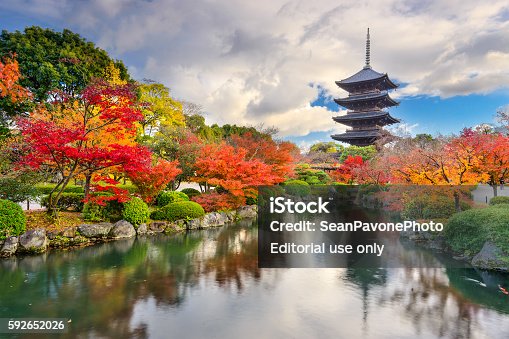 istock Toji Pagoda in Autumn 592652026