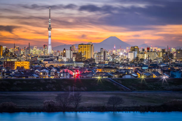 東京シティー ビューと日没後の富士山 - スカイツリー ストックフォトと画像