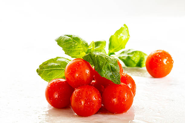 Tomato- basil stock photo