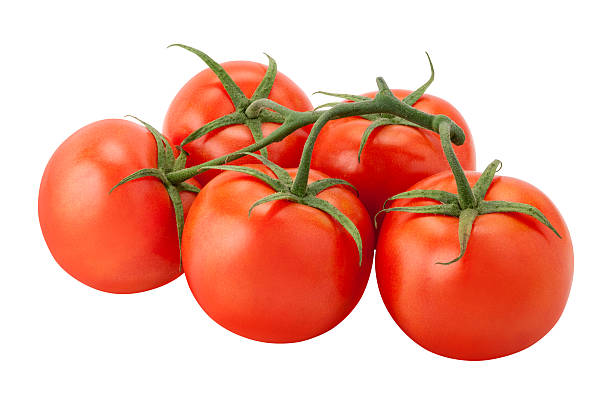 Tomatoes on the Vine Tomatoes on the Vine with a clipping path, isolated on white. The image is in full focus, front to back. vine plant stock pictures, royalty-free photos & images