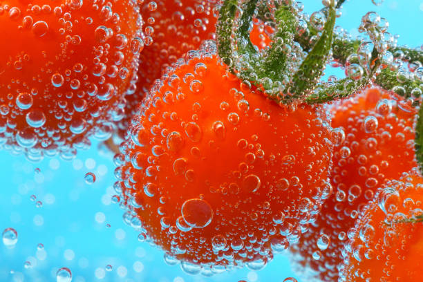 Tomatoes vegetables close-up in water, under water. Ripe juicy vegetables stock photo