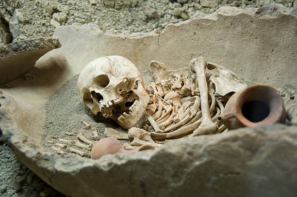 grabmal mit skelett bleibt - neandertaler stock-fotos und bilder