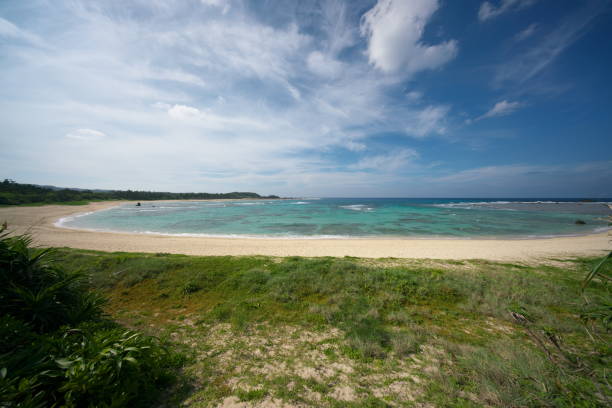 amami oshima, giappone - 16 giugno 2019: tomori beach con la bassa marea ad amami oshima, giappone - tomori foto e immagini stock