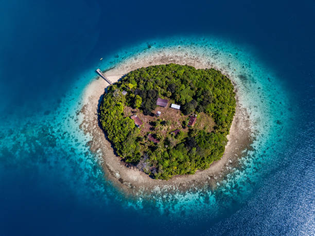 湯加各自的海島 - tonga 個照片及圖片檔