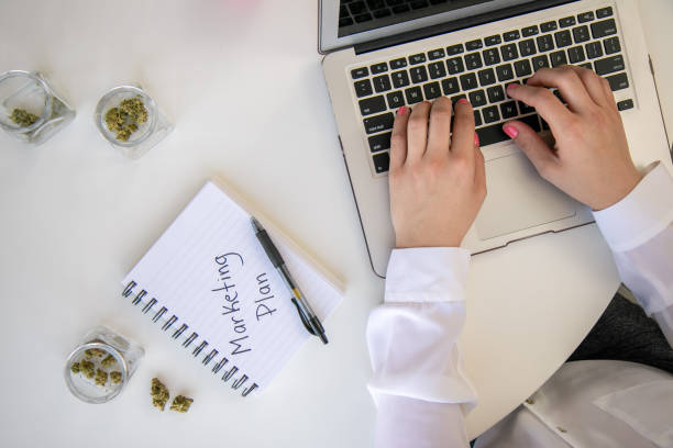 Top Down View of Cannabis Entrepreneur working on Marketing for Marijuana Business on White Table Work Space stock photo