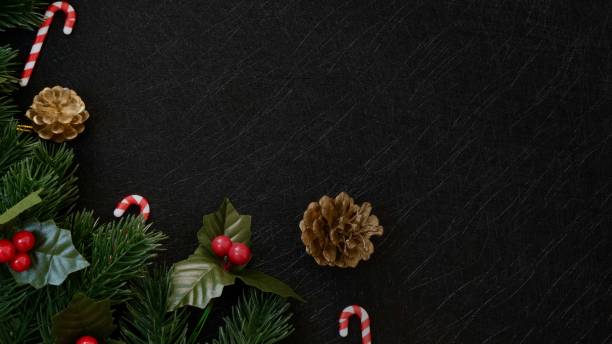 Top view christmas decorations, pine tree fir leaves, candy cane and red berries on dark black textured background stock photo