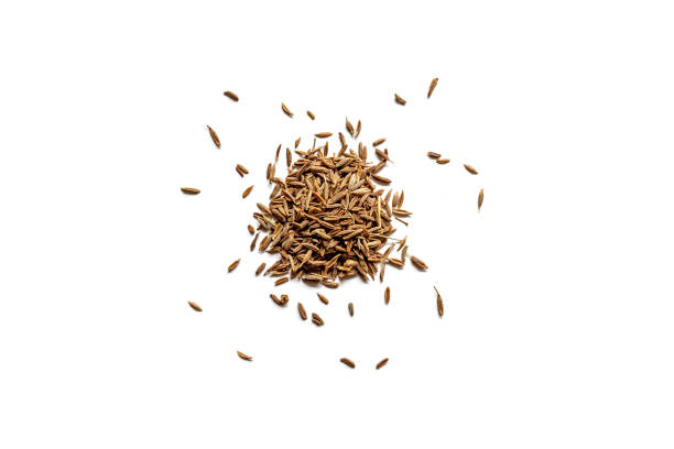 Top view of a pile of organic dry cumin seeds Top view of a pile of organic dry cumin seeds isolated on a white background cumin stock pictures, royalty-free photos & images