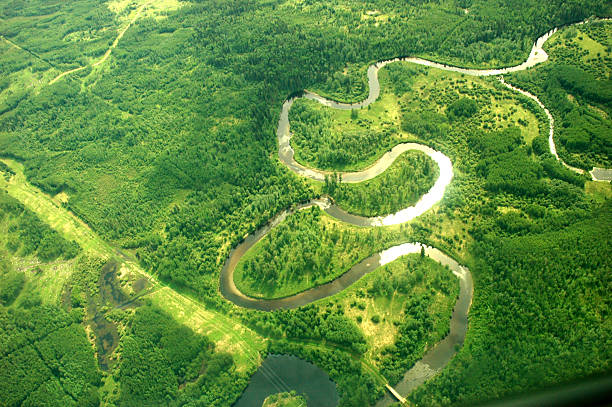 Top view of a river in Alberta stock photo