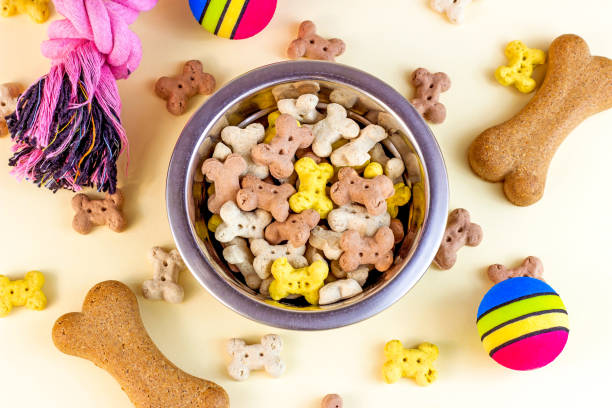 Top view of brown biscuit bones and crunchy organic kibble pieces for dog feed with different toys on light background. Healthy dry pet food concept stock photo