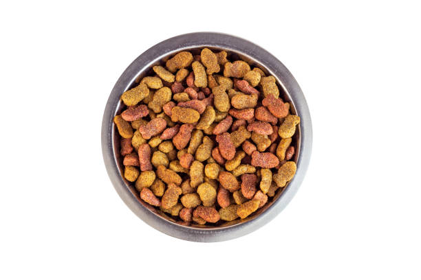 Top view of brown kibble pieces for cat feed in a metal bowl isolated on white background. Healthy dry pet food stock photo