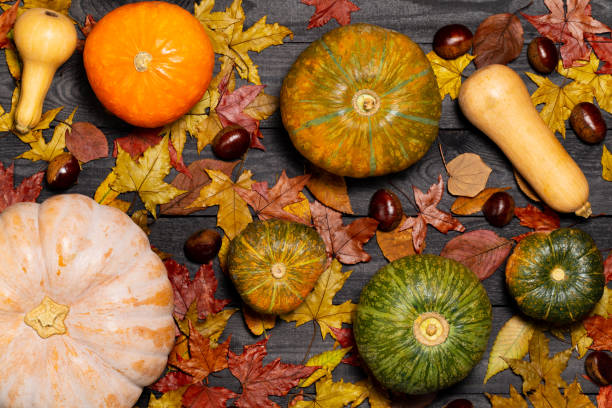 Top view of pumpkins, butternut and chestnuts on a dark vintage wood background covered with autumn colored leaves. Flat Lay. stock photo