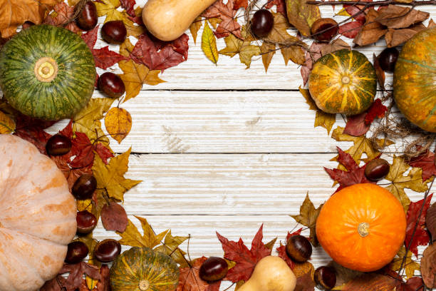 Top view of pumpkins, butternut and chestnuts on a white drifted vintage wood background covered with autumn colored leaves and branches. Circular central copy space. Flat Lay. stock photo