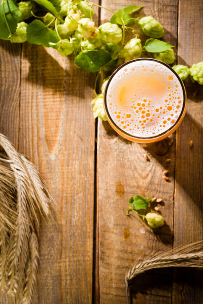 Top view on pint of beer with ingredients for homemade beer. stock photo