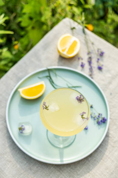 Top view Pompadour glass of lavender lemonade with cube ice with lavender flowers stock photo