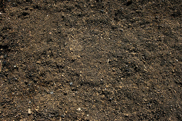 Topsoil background stock photo