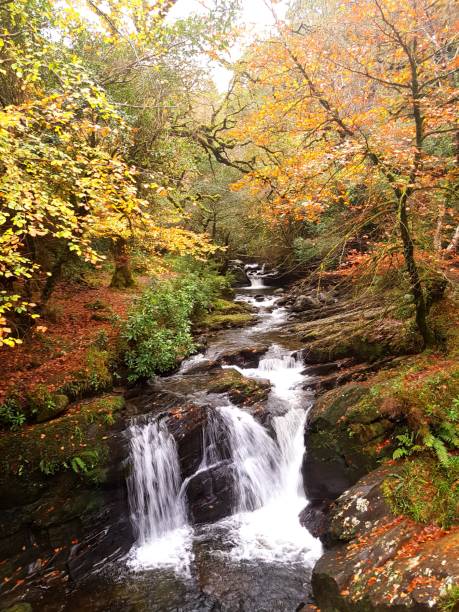 Torc Waterfall Loop, Killarney National Park, Kerry Torc Waterfall in Kerry during fall killarney ireland stock pictures, royalty-free photos & images