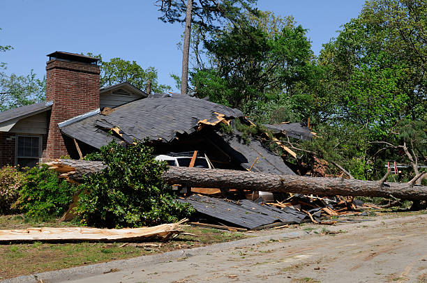 Tornado Damaged Home and Car Home and automobile damaged by tree blown over by a tornado. extreme weather photos stock pictures, royalty-free photos & images
