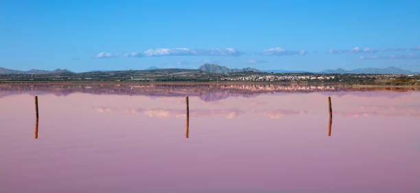 Torrevieja- Costa Blanca in Spain, rosa laguna stock photo