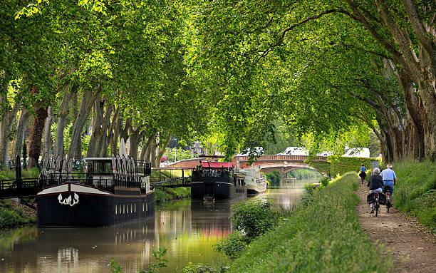 toulouse three walk along the canal of midi in Toulouse, France barge stock pictures, royalty-free photos & images