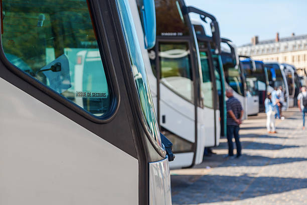 tourist buses in a row stock photo
