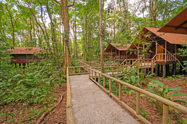 Tourist Cabins in a Tropical Rain Forest Tourist Cabins in a Tropical Rain Forest in Tortuguero National Park in Costa Rica eco tourism stock pictures, royalty-free photos & images