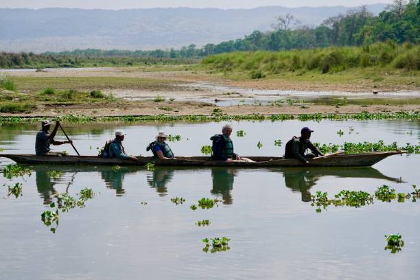 Tourist having canoe ride on the river. Chitwan National Park, Nepal - 27 March 2019: Tourist having canoe ride on the river. chitwan stock pictures, royalty-free photos & images