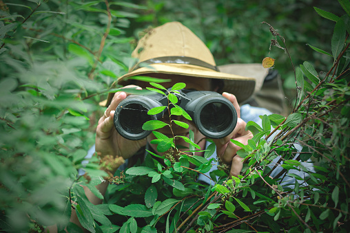 Happy tourist looking through binoculars and hiding in trees.