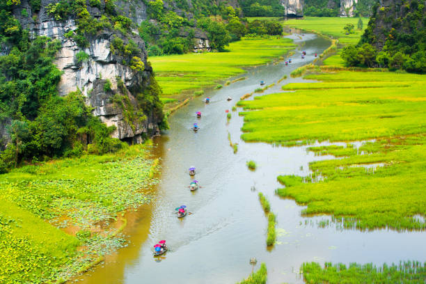 Tourist ride boat for travel sight seeing Rice field on river "Ngo Dong" at TamCoc, Ninhbinh, Vietnam; stock photo