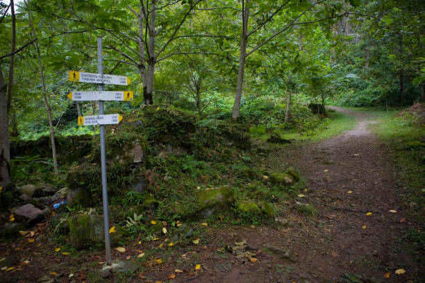A tourist sign shows the direction of Tsablnari waterfall. stock photo