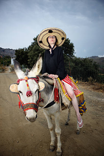 Woman Riding Donkey Stock Photos, Pictures & Royalty-Free Woman Riding Donkey Stock Photos, Pictures & Royalty-Free