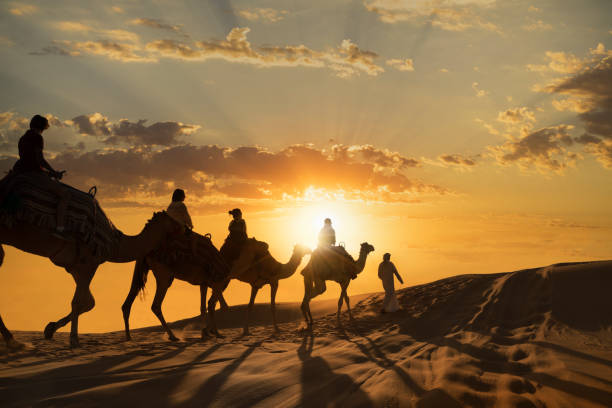 Tourists on camels in the desert Tourists riding camels at sunset on the dunes of the Abi Dhabi Empty Quarter Desert abu dhabi stock pictures, royalty-free photos & images
