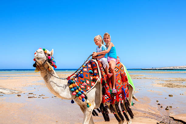 Tourists riding camel  on the beach of  Egypt Tourists two sisters children riding camel  on beach of  Egypt on blue sky background. hot arabic girl stock pictures, royalty-free photos & images