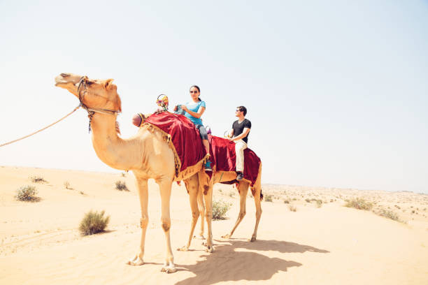 tourists riding through the desert stock photo