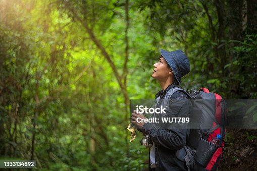istock Tourists watching bird hornbill and monkey with binoculars in the tropical forest. Khao Yai National Park, Thailand. Bird, hornbill And Monkey watching tour. Image of the concept of eco-tourism. 1333134892