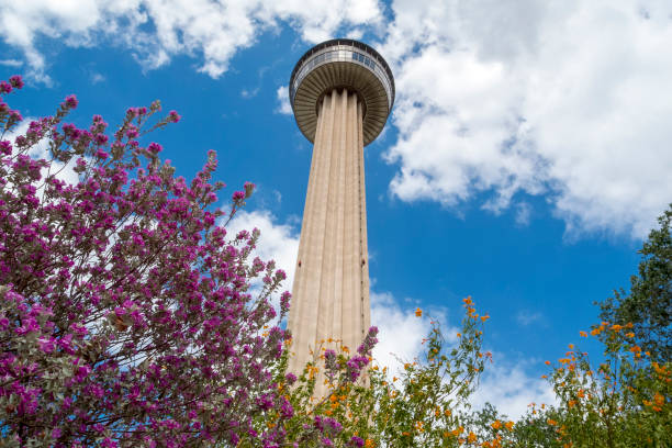 Tower of the Americas in Downtown San Antonio Texas This is a view of the Tower of the Americas in downtown San Antonio, Texas.  The tower was installed as part of a World's Fair hosted in the city and is now the centerpiece for a park in the city. has san hawkins stock pictures, royalty-free photos & images
