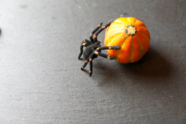 Toy spider on gourd stock photo