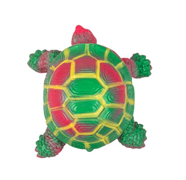 Turtle Toy Stock Photos, Pictures & Royalty-Free Images - iStock