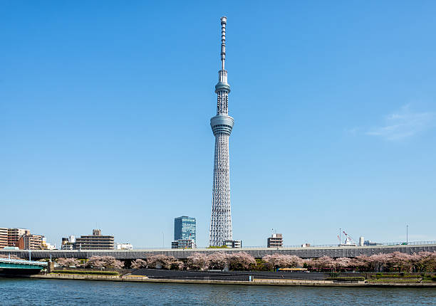 Toyko sky tree  tokyo sky tree stock pictures, royalty-free photos & images