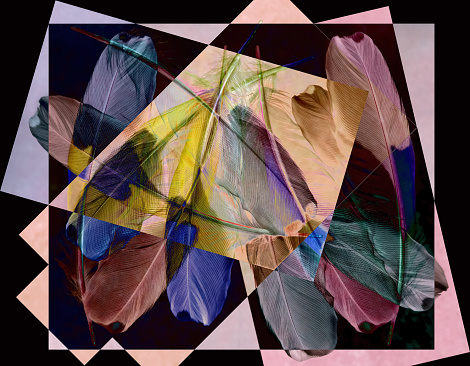 A tracery of colorful bird feathers is set against a pink-lilac-black background. Abstract fantasy. 3D render.