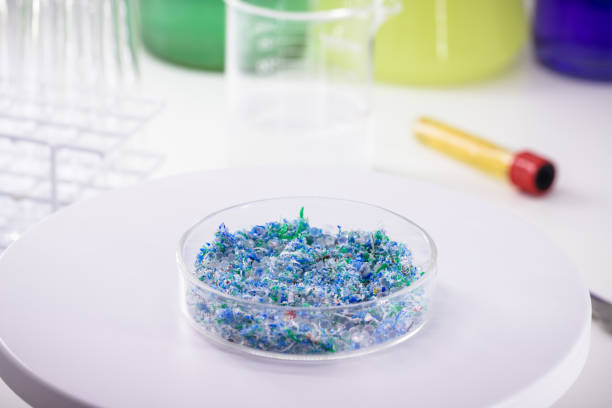 traces of plastic and microplastic in petri dish, analyzed in laboratory, study of environmental problem stock photo
